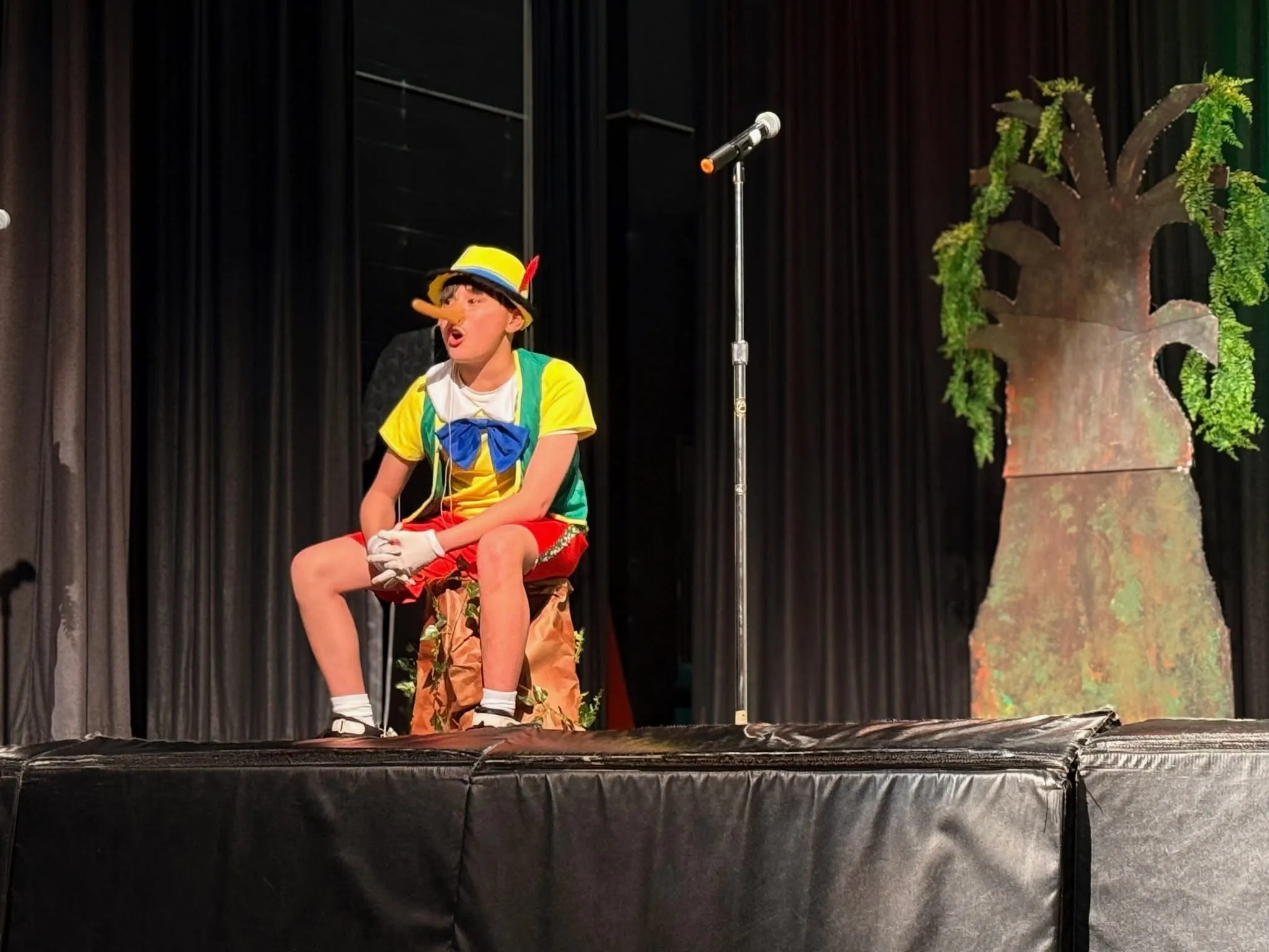Willets Road Drama Club - photo 2