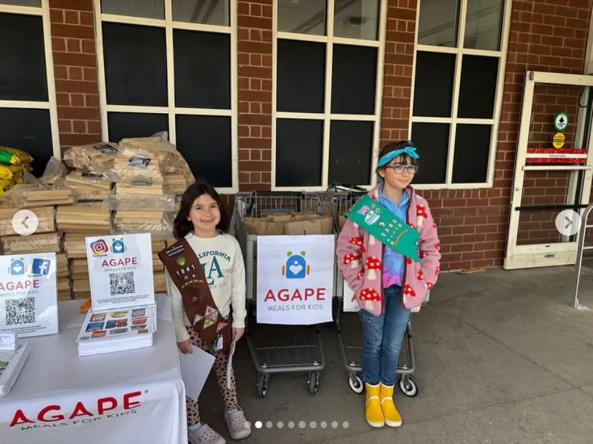 Girl Scouts (Troops 1343, 3693, 991) - photo 2